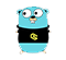 Golang icon