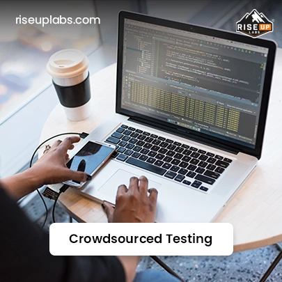 Crowdsourced Testing Services